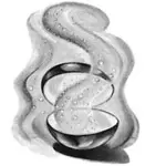 25