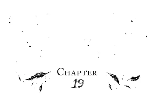CHAPTER 19