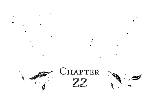 CHAPTER 22