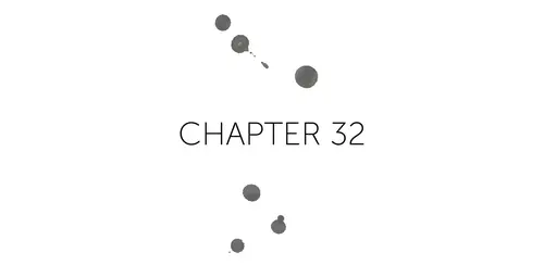Chapter 32