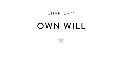 Chapter 11 Own Will