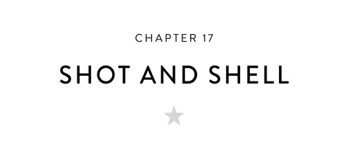 Chapter 17 Shot and Shell