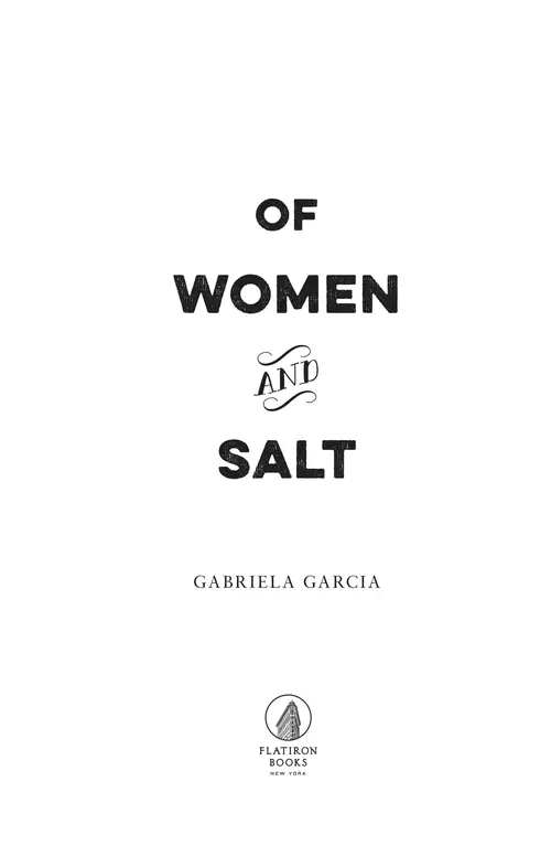 Of Women and Salt by Gabriela Garcia