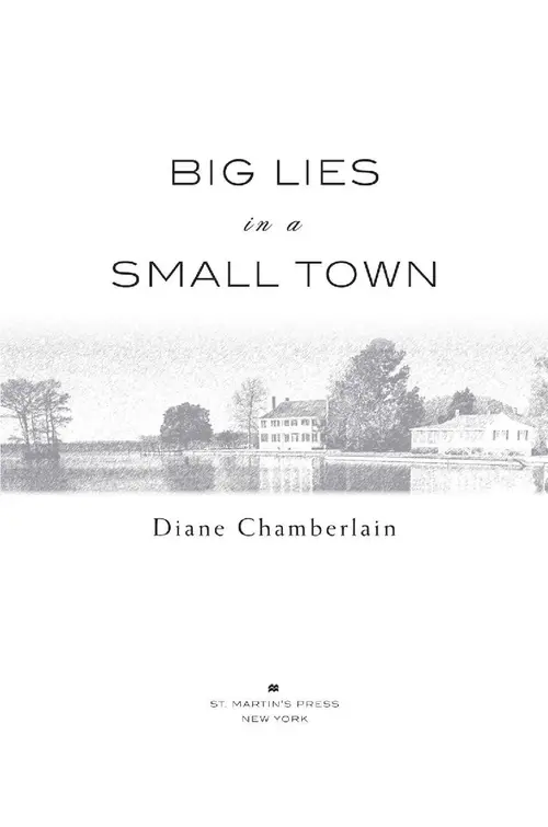 Big Lies in a Small Town by Diane Chamberlain