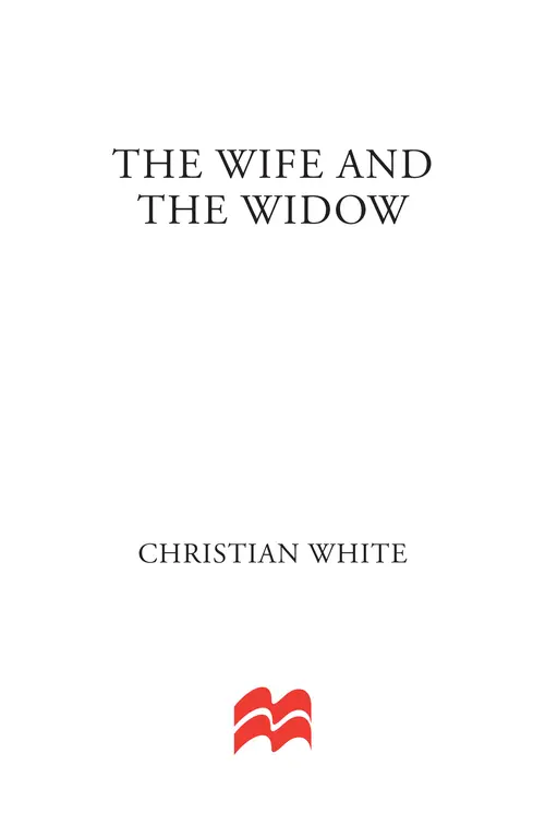 The Wife and the Widow by Christian White