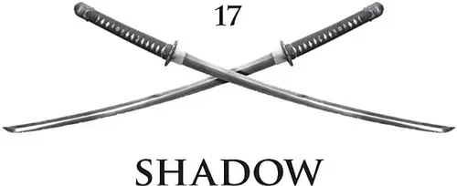 17: Shadow