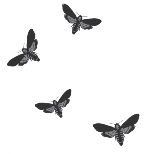 images