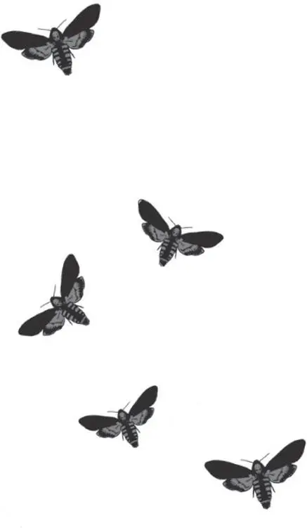 images