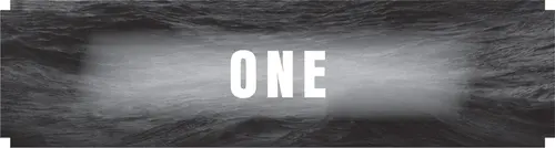 CHAPTER ONE