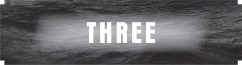 CHAPTER THREE