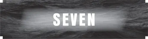 CHAPTER SEVEN