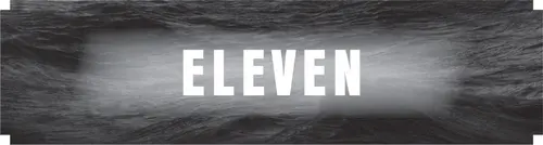 CHAPTER ELEVEN