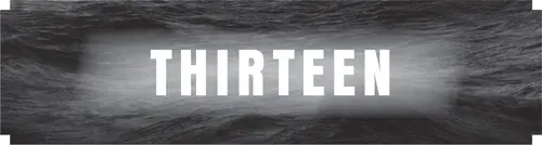 CHAPTER THIRTEEN