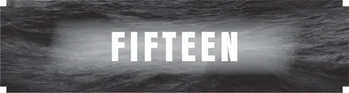 CHAPTER FIFTEEN