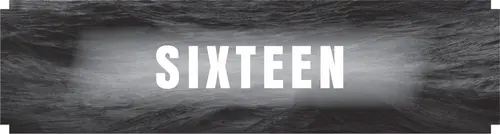CHAPTER SIXTEEN
