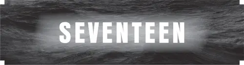CHAPTER SEVENTEEN