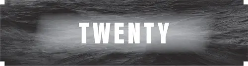 CHAPTER TWENTY