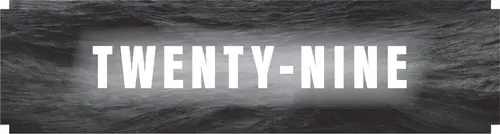 CHAPTER TWENTY-NINE