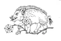 BWBoar