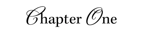 Chapter One