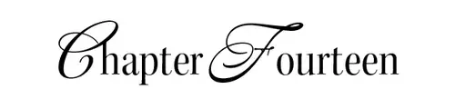 Chapter Fourteen
