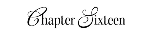 Chapter Sixteen
