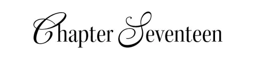 Chapter Seventeen
