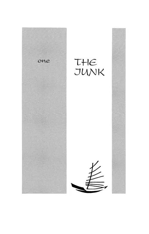 One The Junk