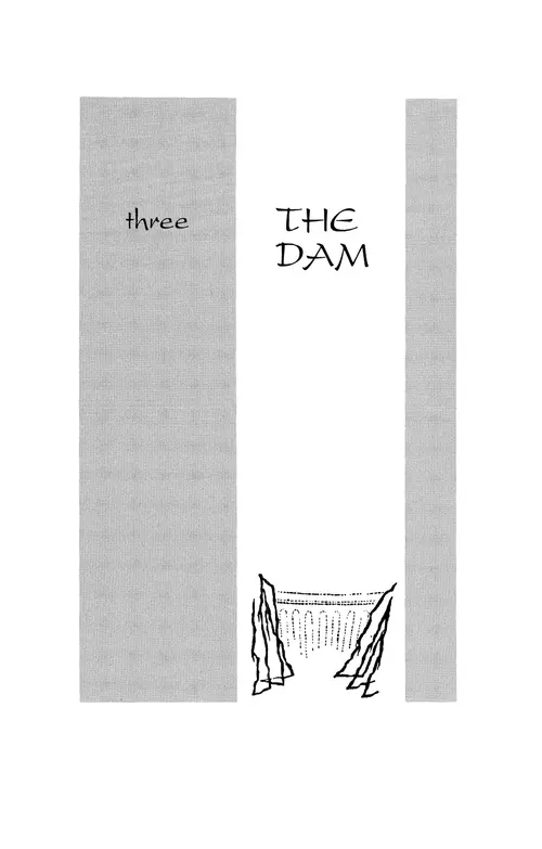 Three The Dam