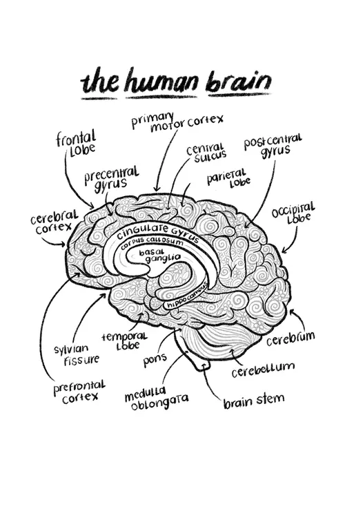 Images