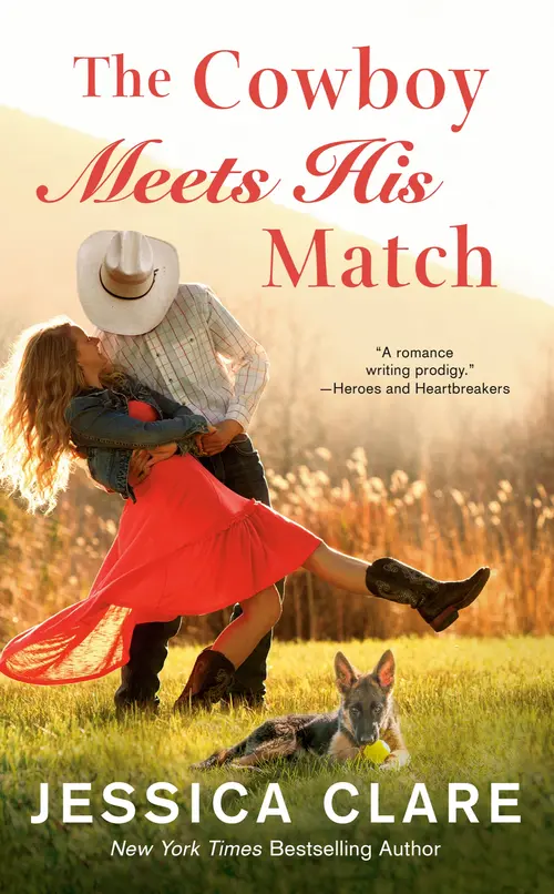 Cover for The Cowboy Meets His Match
