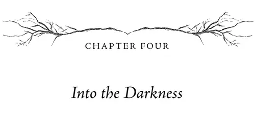 Chapter Four Into the Darkness