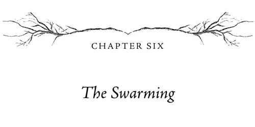 Chapter Six The Swarming