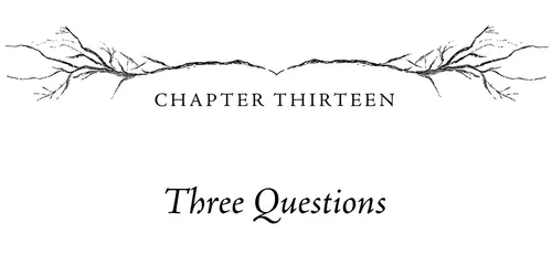 Chapter Thirteen Three Questions
