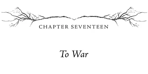 Chapter Seventeen To War