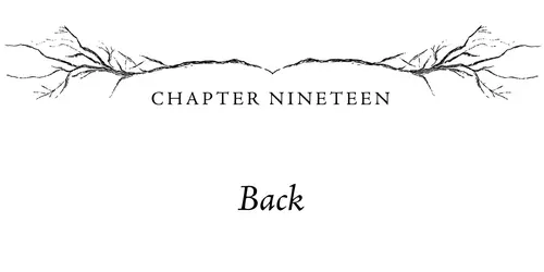 Chapter Nineteen Back