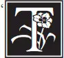 logo missing