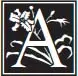 logo missing