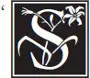 logo missing