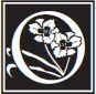 logo missing