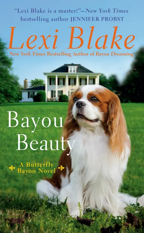 Cover for Bayou Beauty