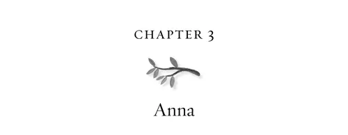 Chapter 3 Anna