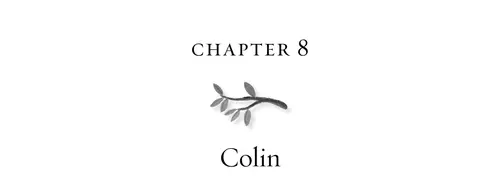 Chapter 8 Colin