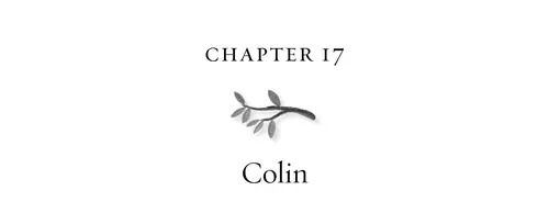 Chapter 17 Colin