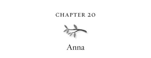 Chapter 20 Anna