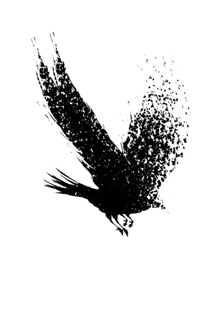 bird1