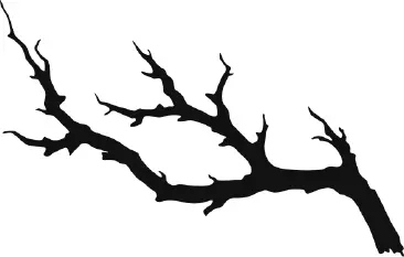 Antler artwork