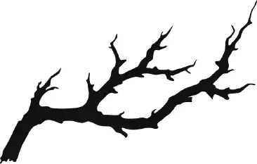 Antler artwork