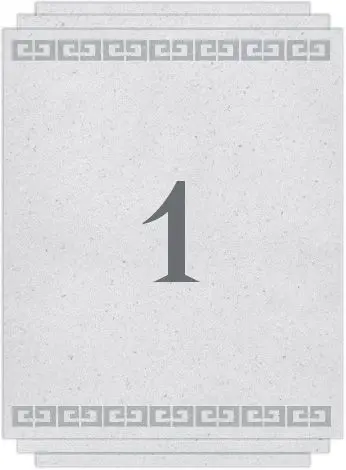 Chapter 1