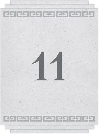 Chapter 11